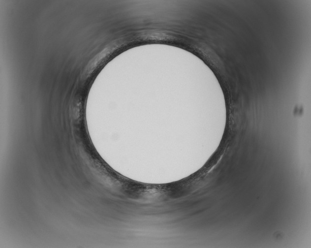 X0000113930111200910231930