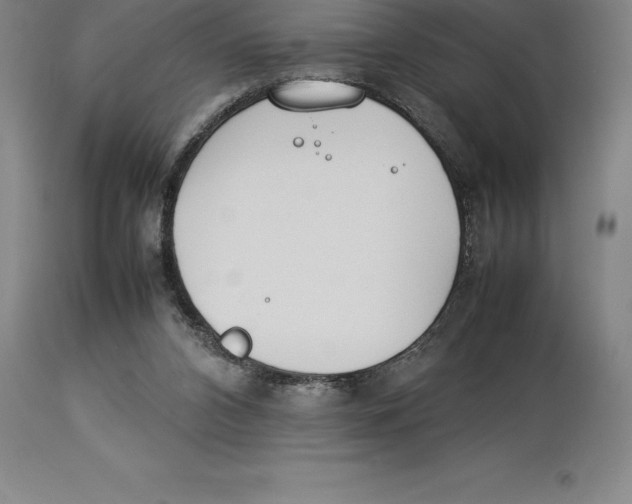 X0000113930112200910231930