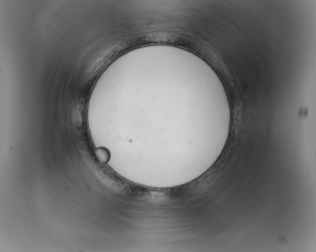 X0000113930114200910231930