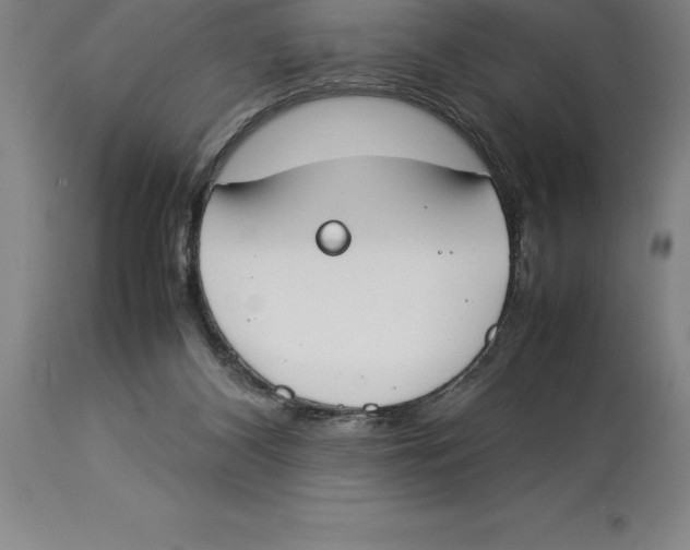 X0000113930116200910231930