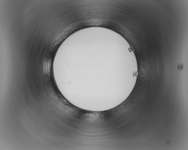 X0000113930118200910231930