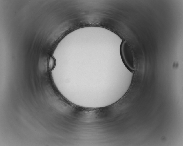 X0000113930120200910231930