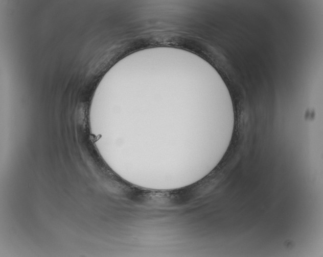 X0000113930121200910231930
