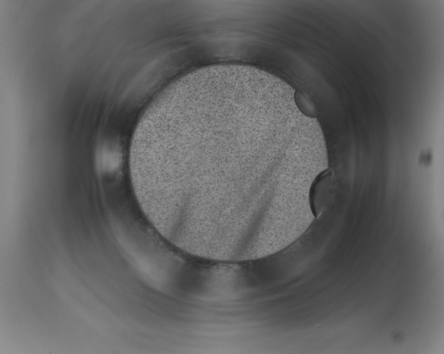 X0000113930124200910231930