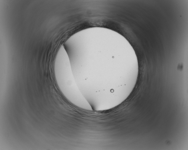 X0000113930125200910231930