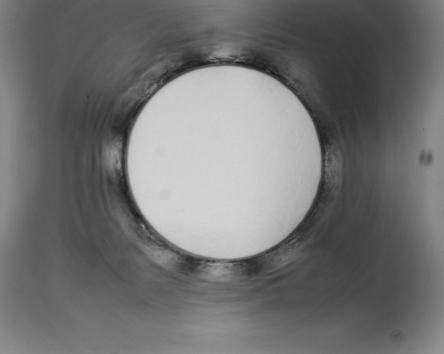 X0000113930127200910231930