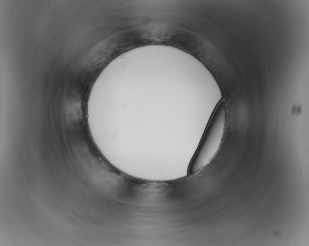 X0000113930128200910231930