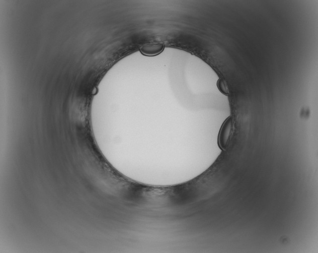 X0000113930129200910231930
