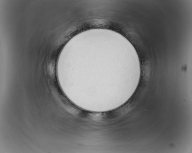 X0000113930131200910231930