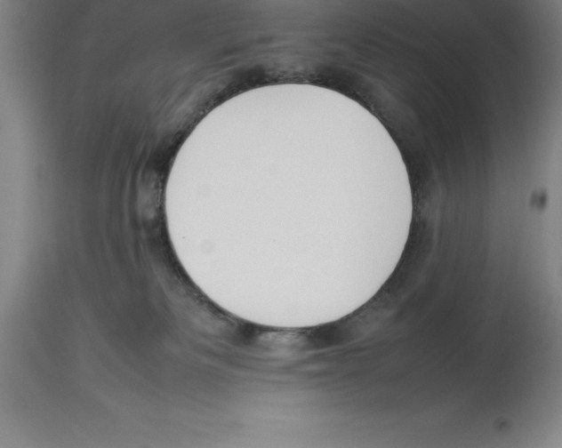 X0000113930133200910231930