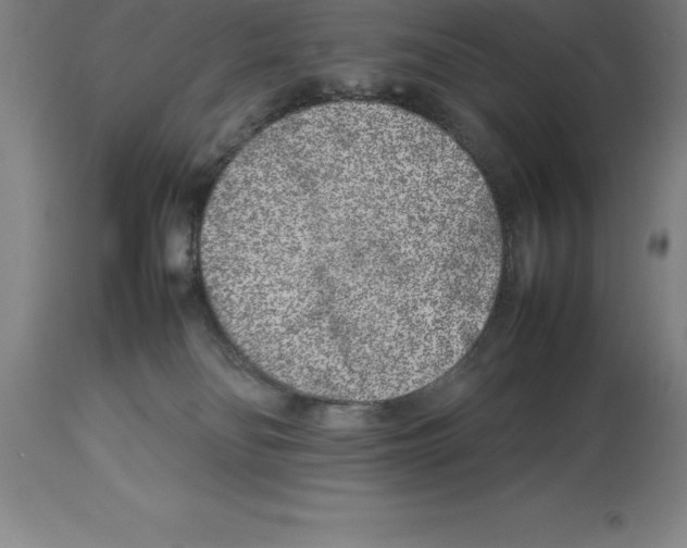 X0000113930134200910231930