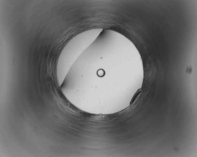 X0000113930136200910231930