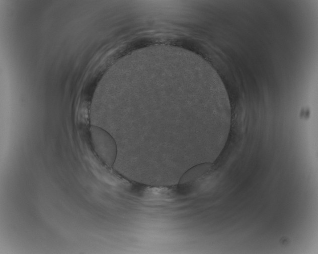 X0000113930137200910231930