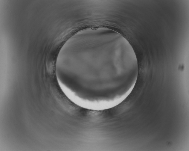 X0000113930139200910231930