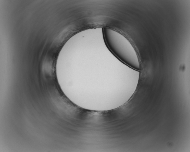 X0000113930140200910231930