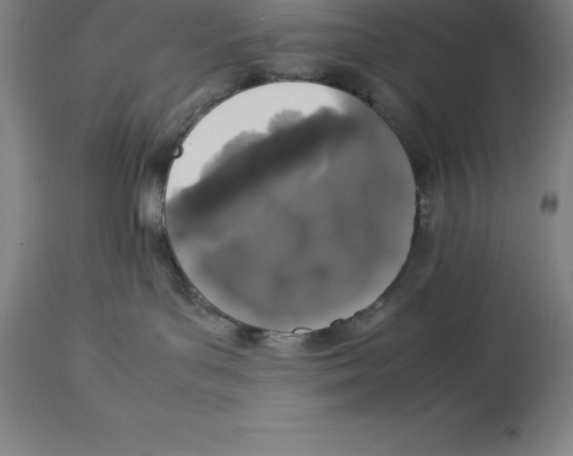 X0000113930143200910231930