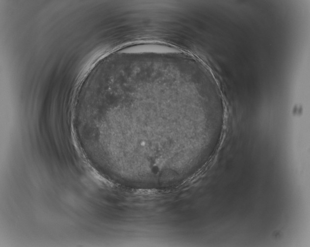 X0000113930145200910231929