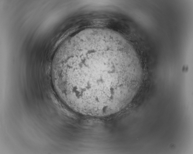 X0000113930146200910231929