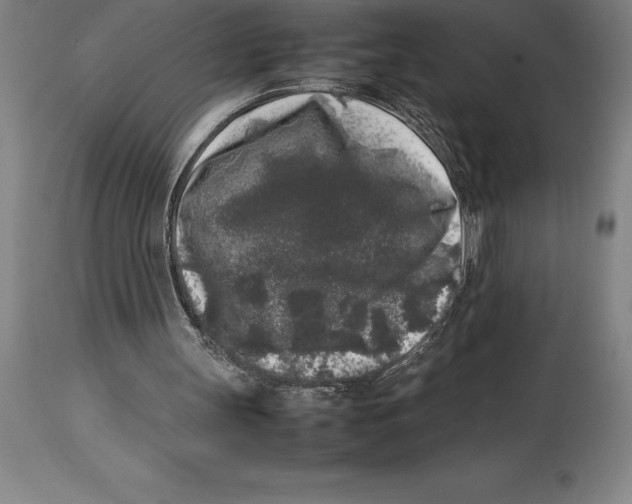 X0000113930147200910231929