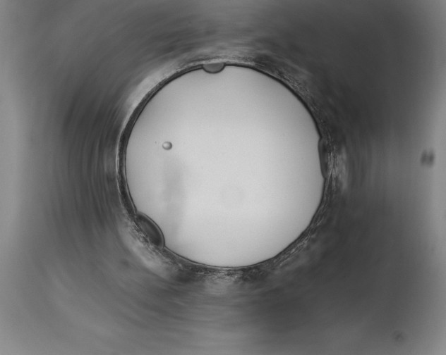 X0000113930148200910231929