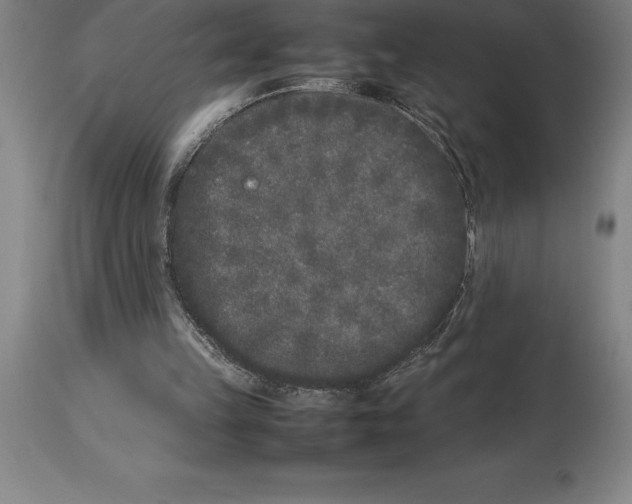 X0000113930149200910231929
