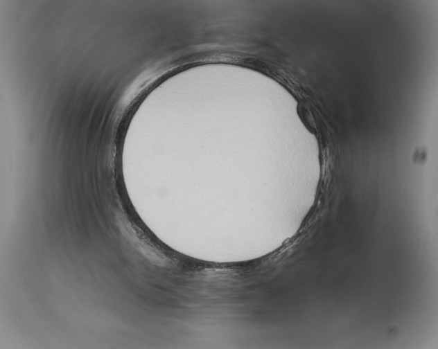 X0000113930150200910231929