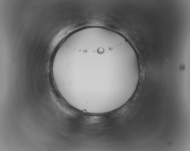X0000113930151200910231929
