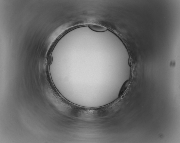 X0000113930152200910231929