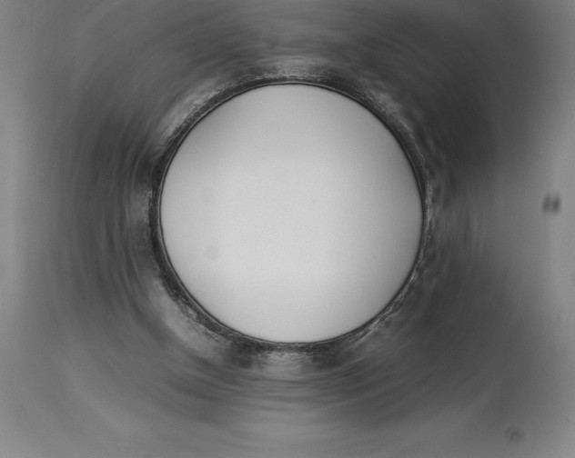 X0000113930154200910231929
