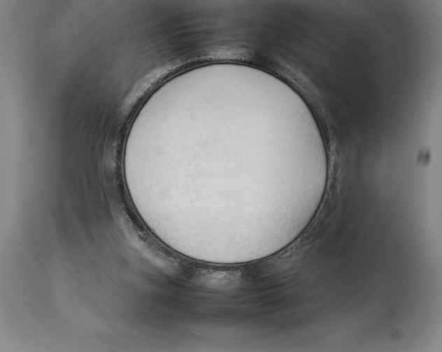 X0000113930155200910231929