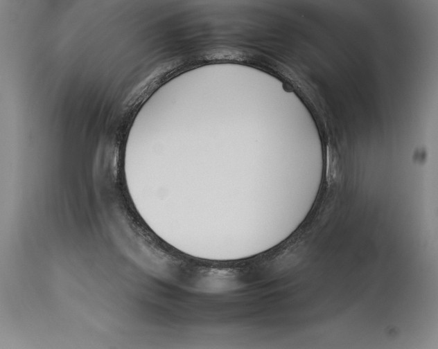 X0000113930157200910231929