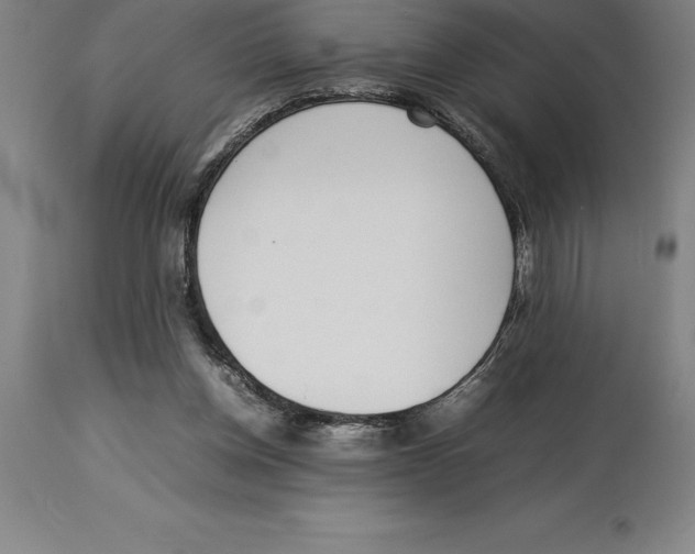 X0000113930158200910231929