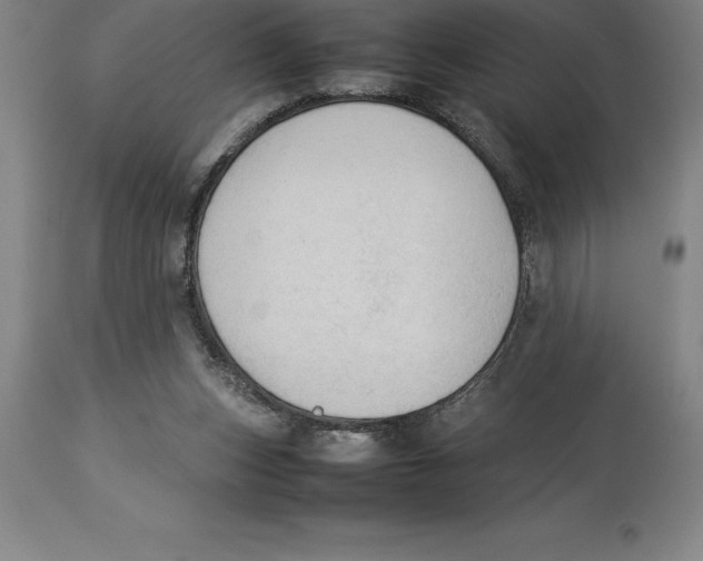 X0000113930159200910231929