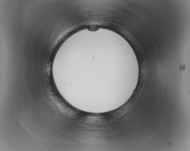 X0000113930160200910231929
