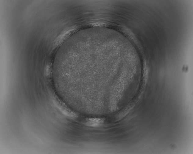 X0000113930161200910231929