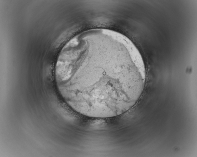 X0000113930162200910231929