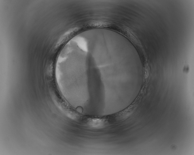 X0000113930163200910231929