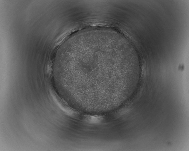 X0000113930165200910231929