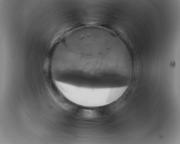 X0000113930167200910231929