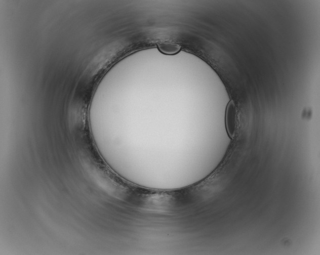 X0000113930168200910231929