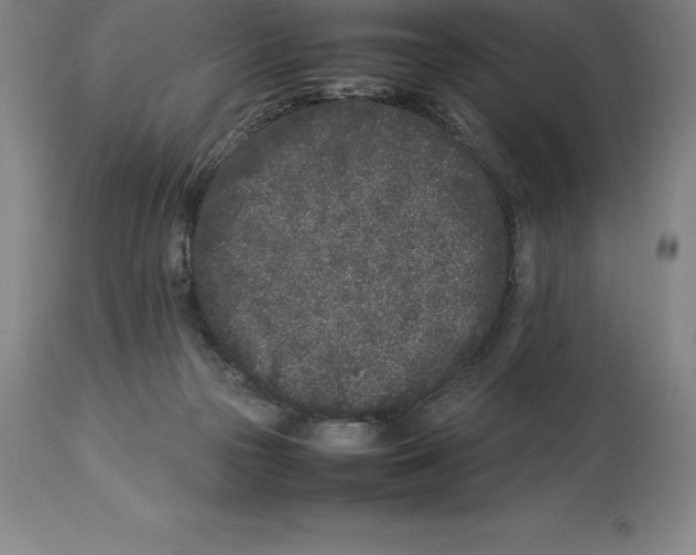 X0000113930169200910231930