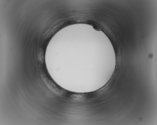 X0000113930170200910231930