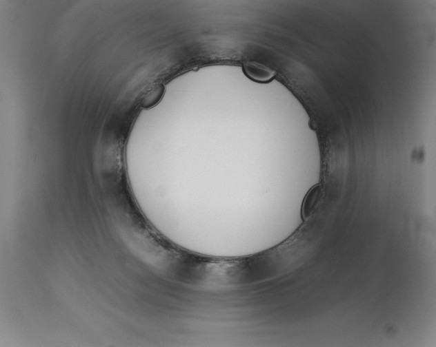 X0000113930172200910231930