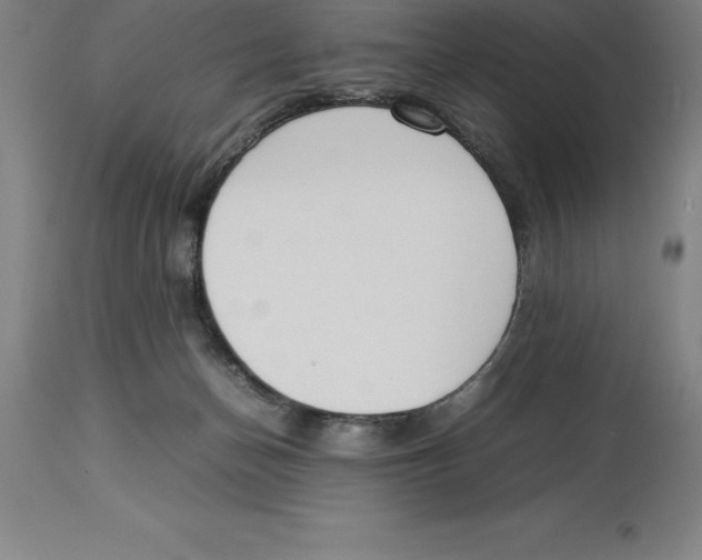X0000113930174200910231930