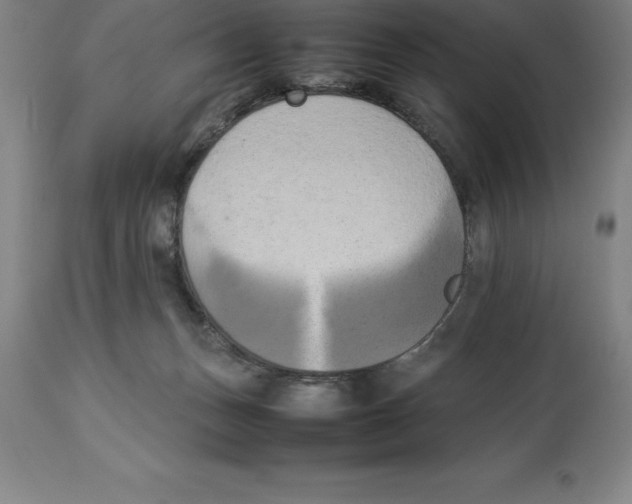 X0000113930175200910231930