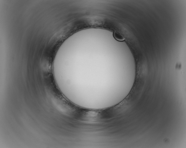 X0000113930176200910231930