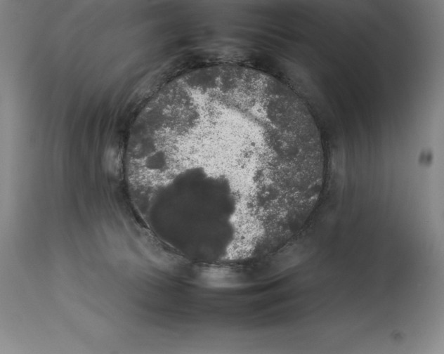 X0000113930177200910231930