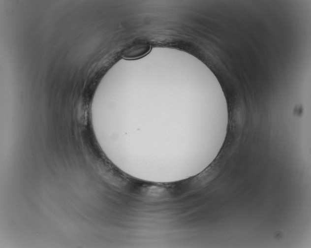 X0000113930180200910231930