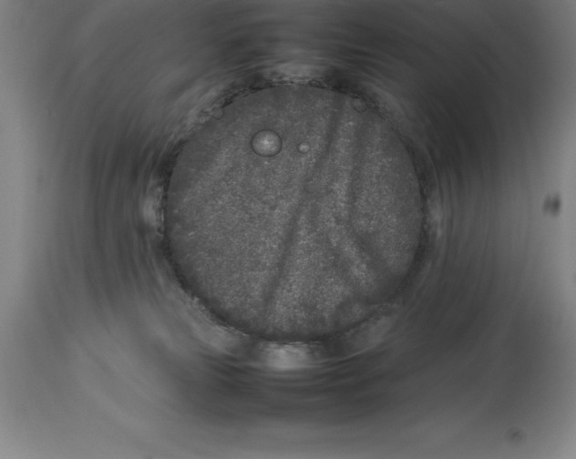 X0000113930181200910231930