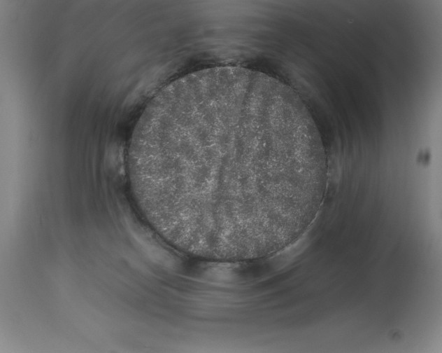 X0000113930182200910231930
